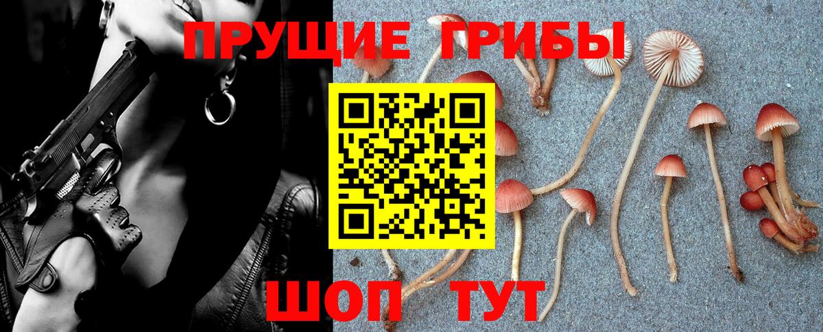 Псилоцибиновые грибы Cubensis Острогожск